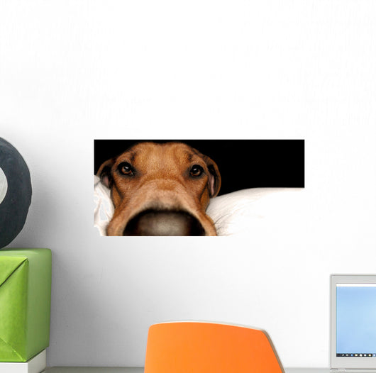 Rhodesian Ridgeback Wall Mural