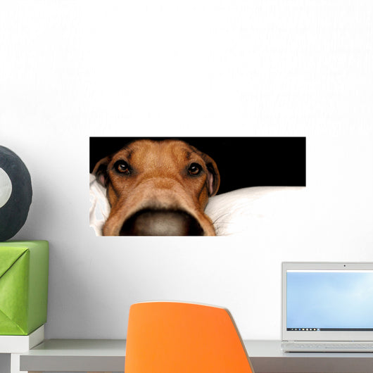 Rhodesian Ridgeback Wall Mural