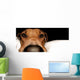 Rhodesian Ridgeback Wall Mural