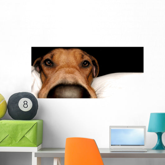 Rhodesian Ridgeback Wall Mural