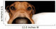 Rhodesian Ridgeback Wall Mural