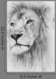 Lion Face Card Banner