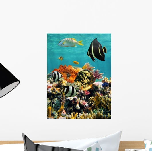Coral Reef and Tropical