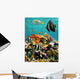 Coral Reef and Tropical