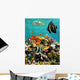 Coral Reef and Tropical