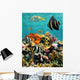 Coral Reef and Tropical