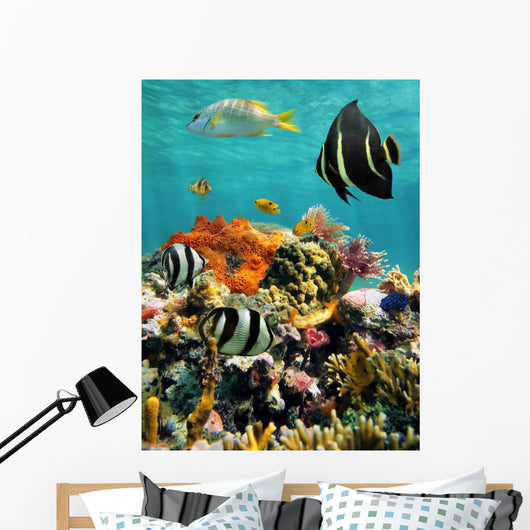 Coral Reef and Tropical