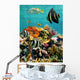 Coral Reef and Tropical