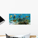 Panorama Coral Reef
