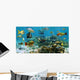 Panorama Coral Reef