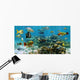 Panorama Coral Reef
