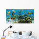 Panorama Coral Reef