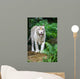White Tiger Wall Mural