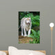 White Tiger Wall Mural