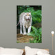 White Tiger Wall Mural