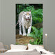 White Tiger Wall Mural