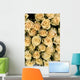 Cream Roses Wall Mural