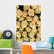 Cream Roses Wall Mural