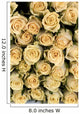 Cream Roses Wall Mural