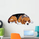 Beagle Is Resting Maybe Wall Decal