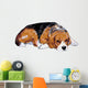 Beagle Is Resting Maybe Wall Decal