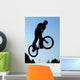 BMX Wall Mural
