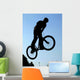 BMX Wall Mural