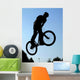 BMX Wall Mural