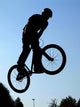 BMX Wall Mural
