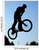 BMX Wall Mural
