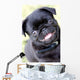 Black Pug Wall Mural