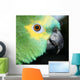 pretty blue fronted Amazon Wall Mural
