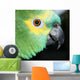 pretty blue fronted Amazon Wall Mural