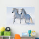 Two galloping snow-white horses 