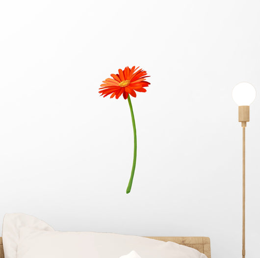 Fresh Orange Gerbera Flower