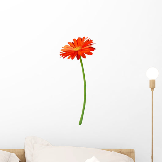 Fresh Orange Gerbera Flower