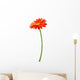 Fresh Orange Gerbera Flower