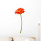 Fresh Orange Gerbera Flower