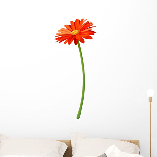 Fresh Orange Gerbera Flower