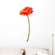 Fresh Orange Gerbera Flower