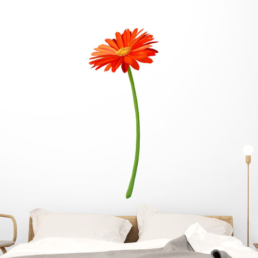 Fresh Orange Gerbera Flower