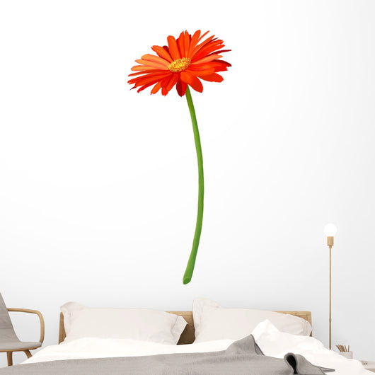 Fresh Orange Gerbera Flower