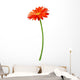 Fresh Orange Gerbera Flower