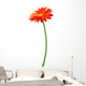 Fresh Orange Gerbera Flower