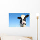 Holstein Cow against Blue