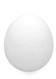 White Egg Wall Decal