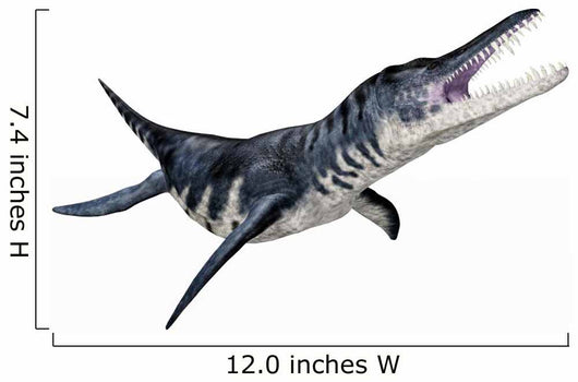 Liopleurodon Wall Mural