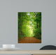 Forest Clearing