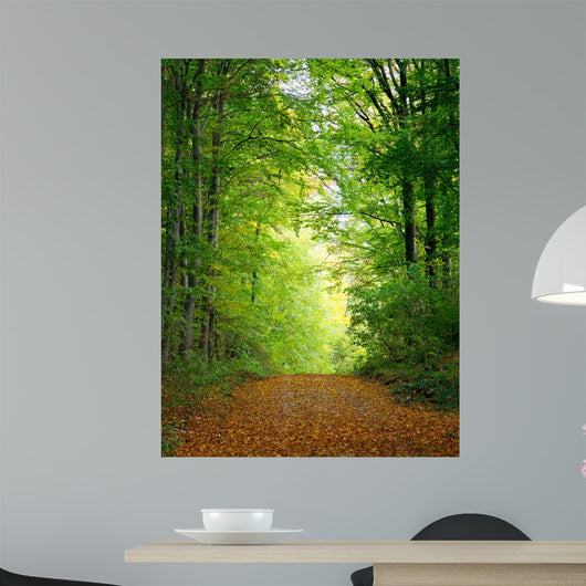 Forest Clearing