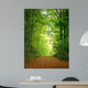Forest Clearing